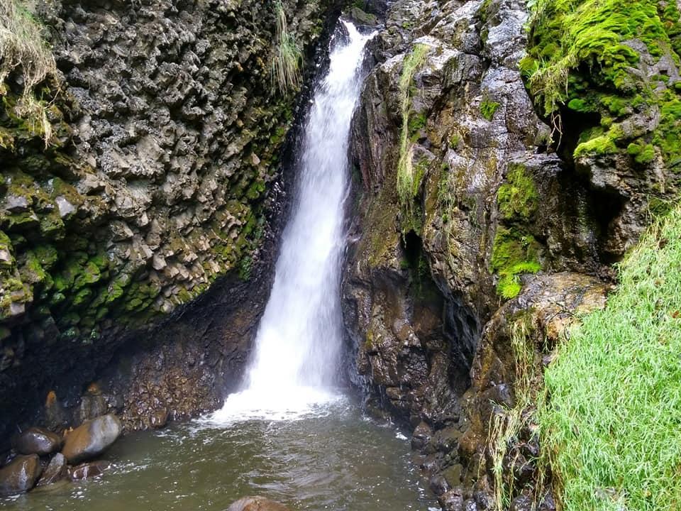파파약타 Termas El Pantanal 빌라 외부 사진