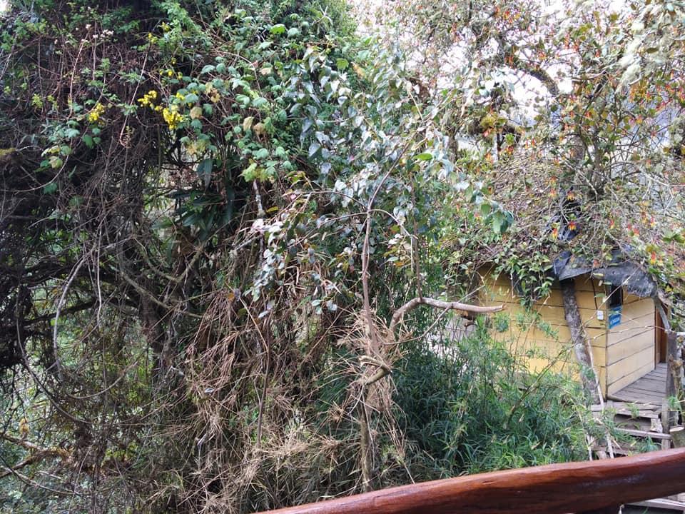 파파약타 Termas El Pantanal 빌라 외부 사진
