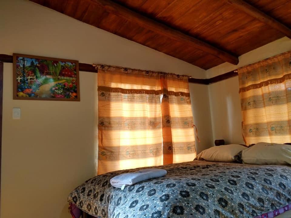 파파약타 Termas El Pantanal 빌라 외부 사진